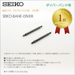 Seiko 21MM PINS