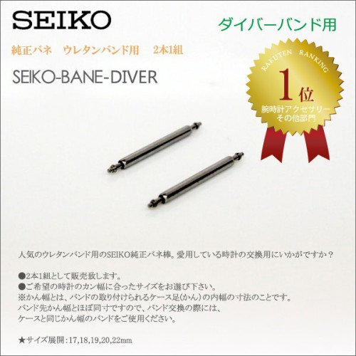 Seiko 21MM PINS
