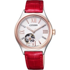 Citizen Collection PC1004-04A