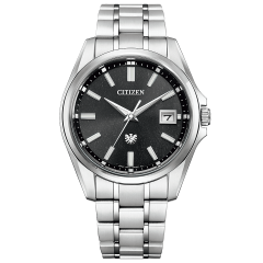 Citizen The Citizen AQ4091-56E