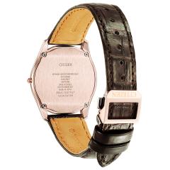 Citizen Eco-Drive One AQ5012-14A