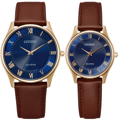 Citizen Collection Limited Model BJ6487-01L