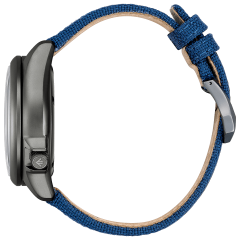 Citizen Promaster Land Altichron BN4065-07L