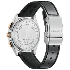 Citizen Attesa BY1004-17X