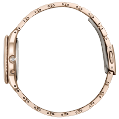 Citizen xC Daichi Collection 25th Anniversary Limited Model EE1006-51W