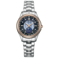 Citizen Exceed 45th Anniversary Pair Model Limited Edition EE1014-70F