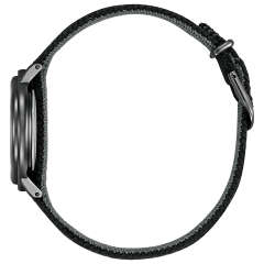 Citizen L Ambiluna Collection Limited Model EM1007-47E