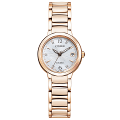 Citizen Exceed Limited Model ES9323-54W