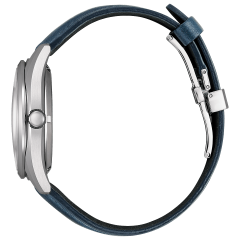 Citizen Collection NB1060-12L