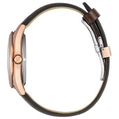 Citizen Collection Automatic Silver Leaf Lacquer Dial Limited Edition NB1062-17W