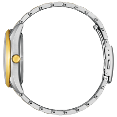 Citizen Collection NH9114-99P