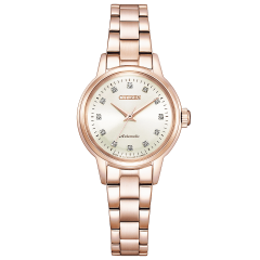 Citizen Collection PR1037-58A