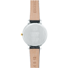 Seiko Selection nano ・ universe Exclusive Model STPR064